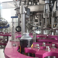 Iron Fat Craft Beer Fyllningsmaskin